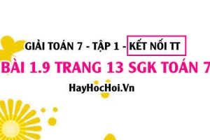 Bài 1.9 SGK Toán 7 tập 1 Kết nối tri thức